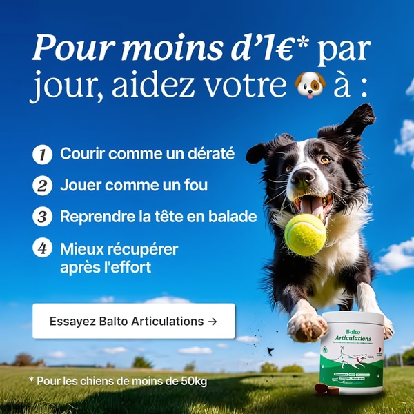 A high-contrast, benefit-oriented ad featuring a dog in motion to illustrate the effectiveness of a joint supplement product.